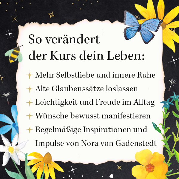 Onlinekurs - Der Kurs deiner Träume