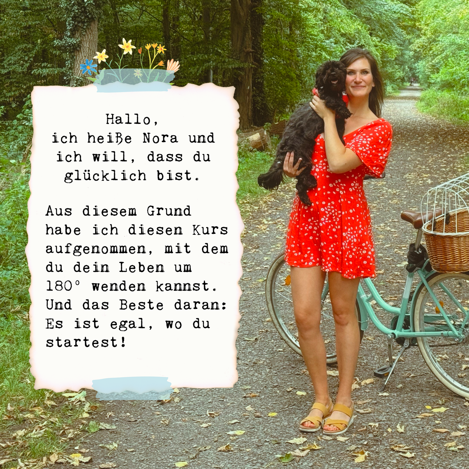 Onlinekurs - Der Kurs deiner Träume