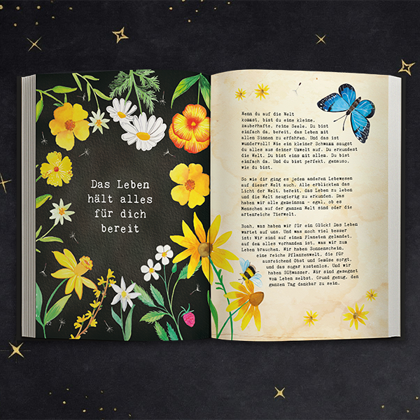 Das Buch deiner Träume - Verstehe die Spielregeln des Lebens und werde glücklich